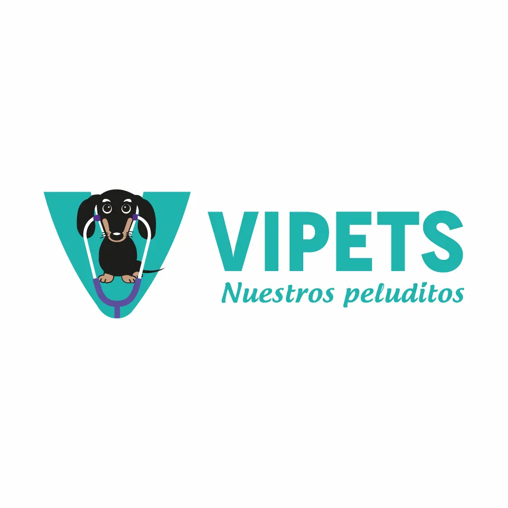 Proyecto 5