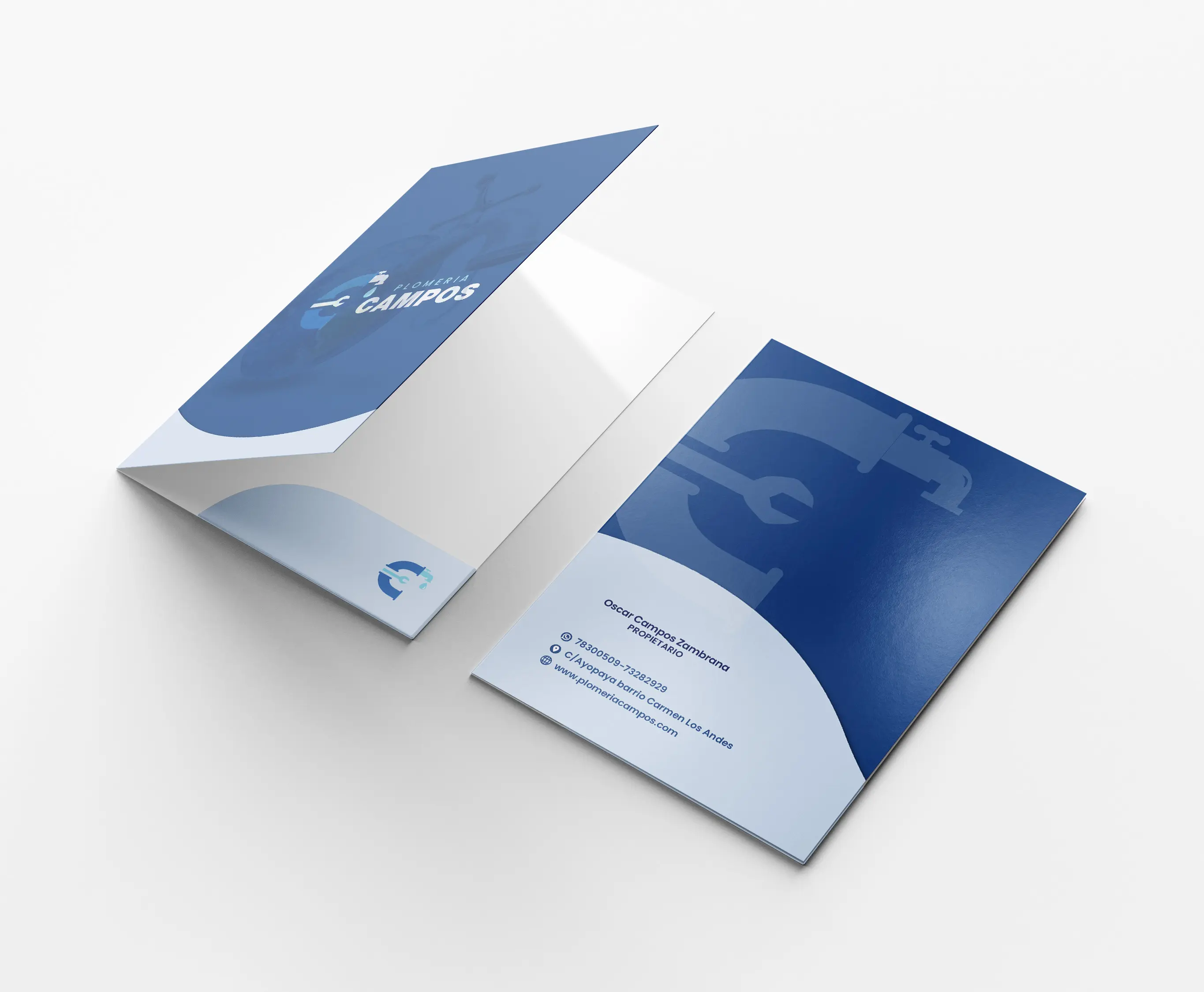 Proyecto 1